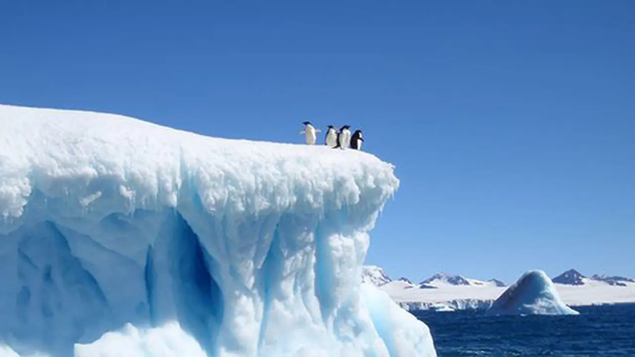 ആന്റാര്ട്ടിക്കയില് അന്യഗ്രഹ പേടകം ഇടിച്ചിറക്കി? ആന്റാര്ട്ടിക്കയില് അന്യഗ്രഹ പേടകം ഇടിച്ചിറക്കി?