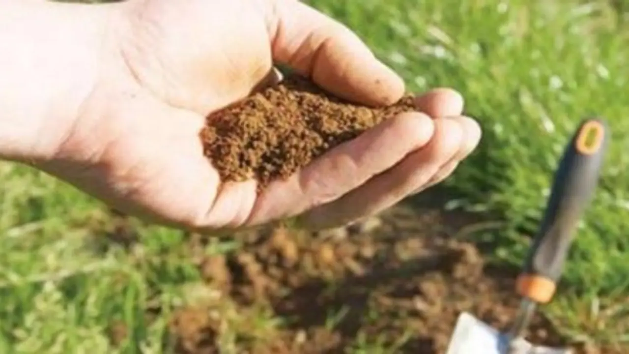 களர், உவர் நிலங்களில் மண் சீர்திருத்த முறைகளை செய்ய சில வழிகள்…