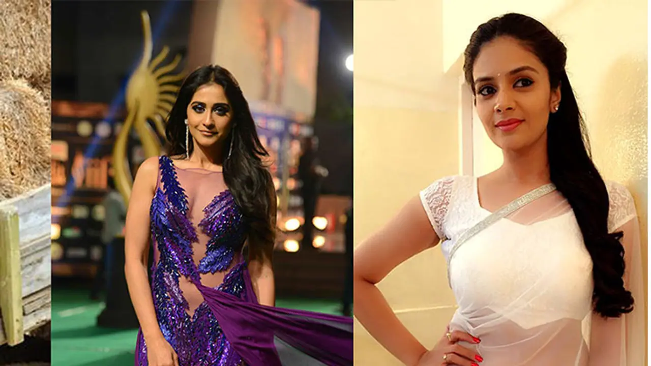 Three Southern Sirens Signs Sex Comedy 'Hunterr'