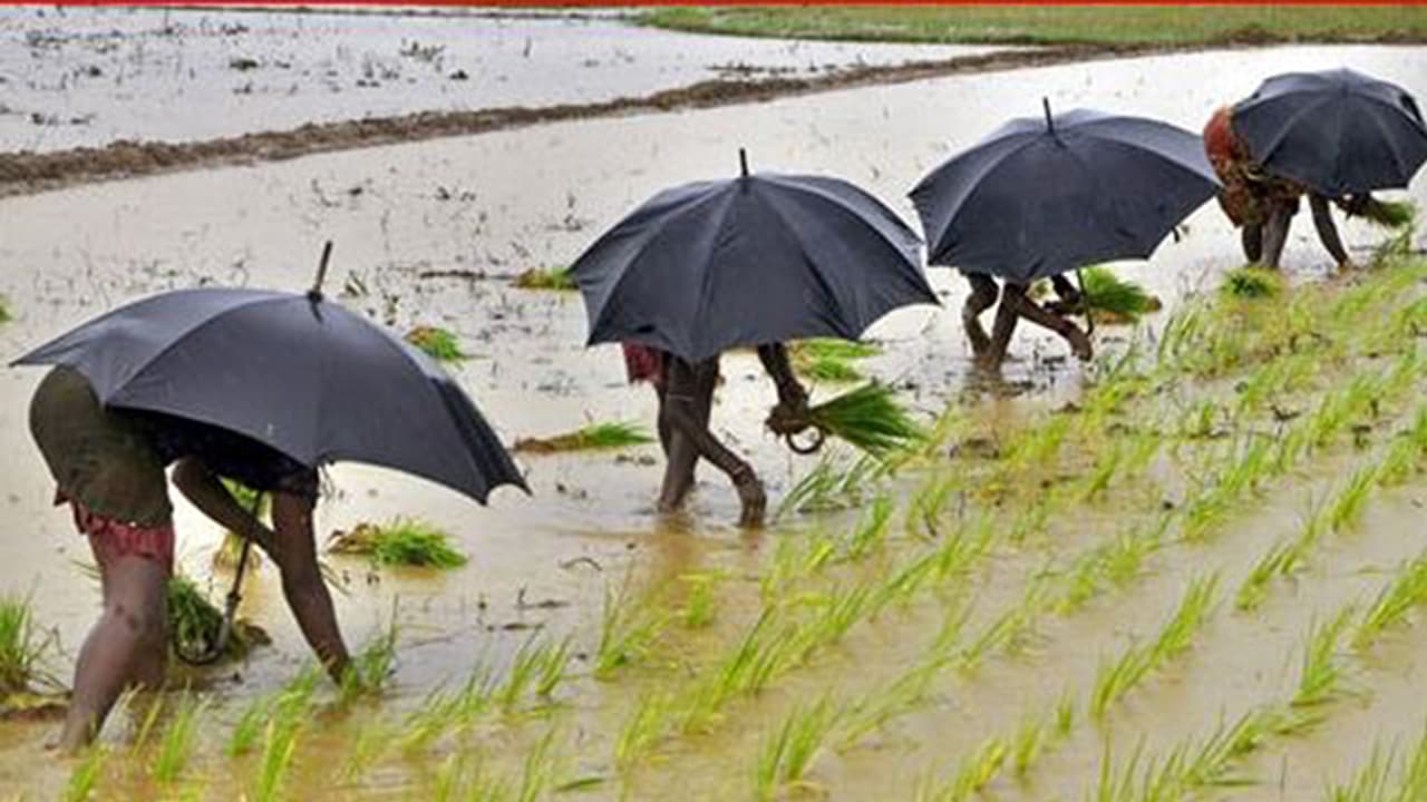 8% ಮಳೆ ಕೊರತೆಯೊಂದಿಗೆ ಈ ಸಲದ ಮುಂಗಾರು ಅಂತ್ಯ 8% ಮಳೆ ಕೊರತೆಯೊಂದಿಗೆ ಈ ಸಲದ ಮುಂಗಾರು ಅಂತ್ಯ