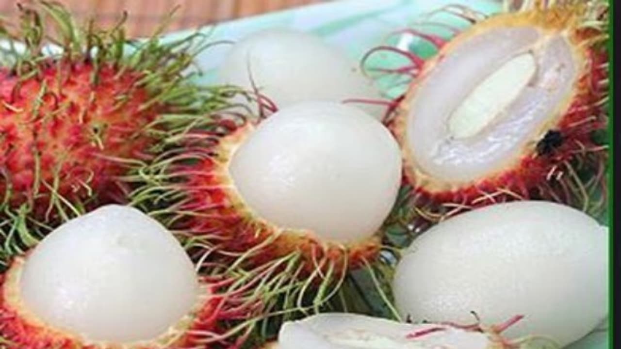 சந்தைக்கு வந்துள்ள புதிய பழங்களும் அவற்றினால் கிடைக்கும் பலன்களும்… சந்தைக்கு வந்துள்ள புதிய பழங்களும் அவற்றினால் கிடைக்கும் பலன்களும்…