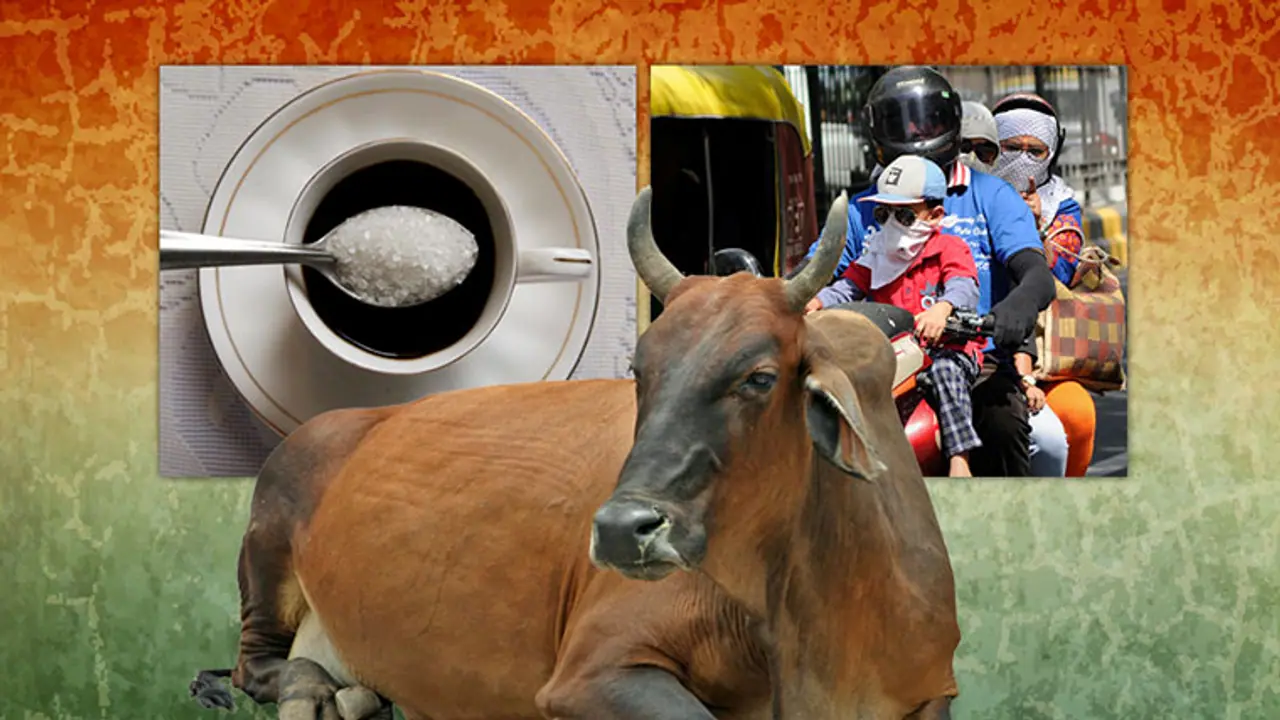 7 ways you were killing the ‘holy cow’ but had no clue 7 ways you were killing the ‘holy cow’ but had no clue