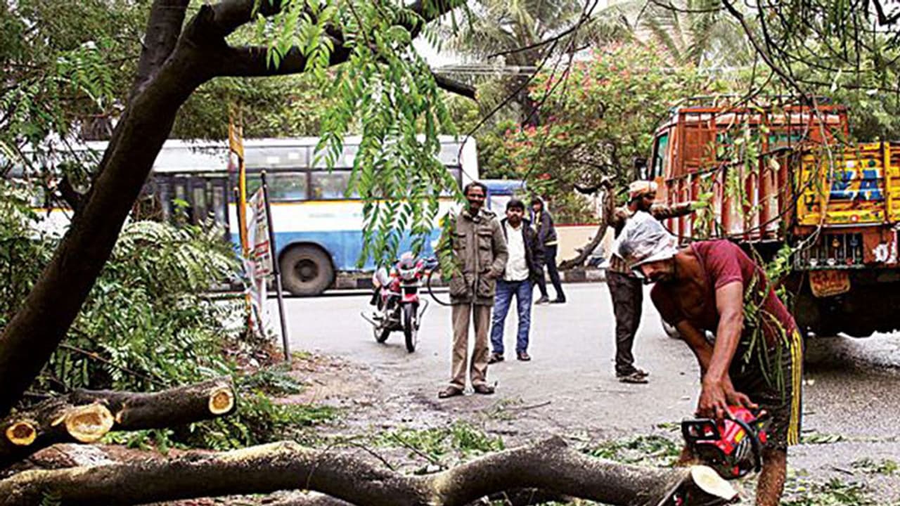 When a cyclone hits Chennai, Bengaluru falls sick too! When a cyclone hits Chennai, Bengaluru falls sick too!
