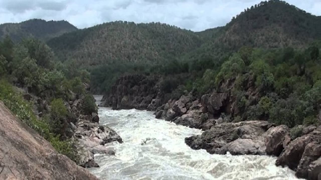 "மேகதாதுவில் கர்நாடகா அணை கட்டிக் கொள்ளலாம்" உச்சநீதிமன்ற நீதிபதிகள் பரபரப்பு கருத்து!! "மேகதாதுவில் கர்நாடகா அணை கட்டிக் கொள்ளலாம்" உச்சநீதிமன்ற நீதிபதிகள் பரபரப்பு கருத்து!!