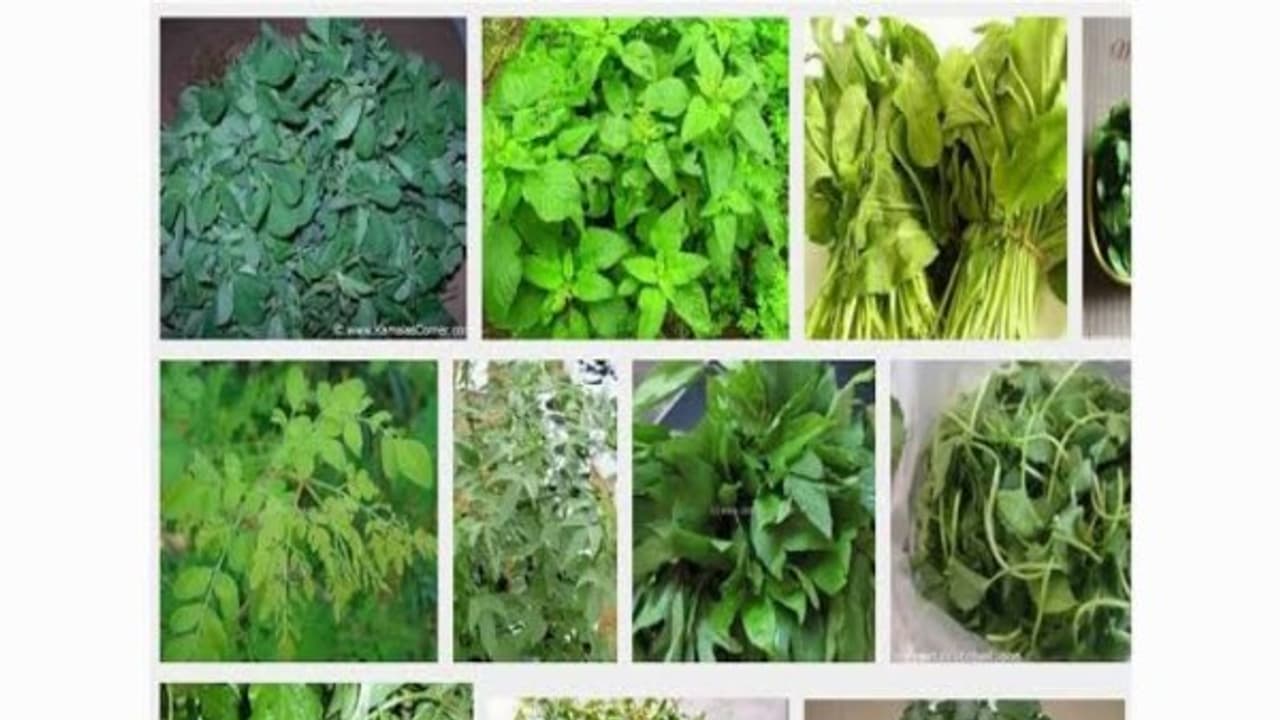 பன்னிரெண்டு வகையான கீரைகளும், அவை நமக்கு வாரி வழங்கும் மருத்துவ நன்மைகளும்... பன்னிரெண்டு வகையான கீரைகளும், அவை நமக்கு வாரி வழங்கும் மருத்துவ நன்மைகளும்...