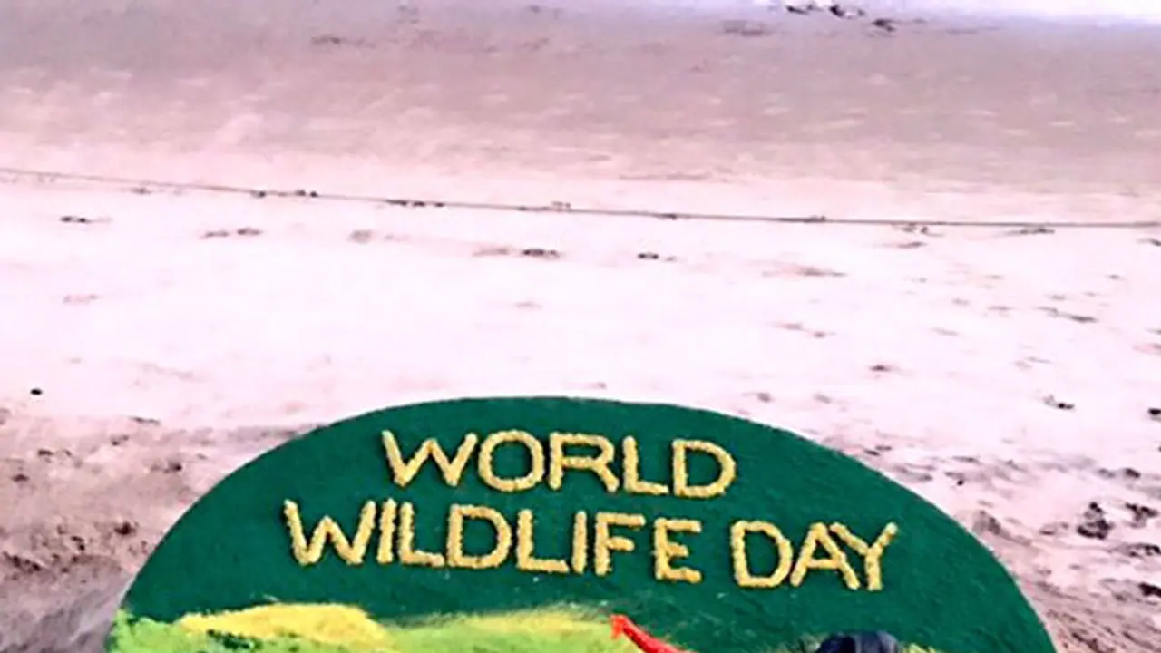 ಇಂದು ವಿಶ್ವ ವನ್ಯಜೀವಿ ದಿನ; ಪಟ್ನಾಯಕ್ ಕೈಯಲ್ಲಿ ಅರಳಿದ ಸ್ಯಾಂಡ್ ಆರ್ಟ್ ಇಂದು ವಿಶ್ವ ವನ್ಯಜೀವಿ ದಿನ; ಪಟ್ನಾಯಕ್ ಕೈಯಲ್ಲಿ ಅರಳಿದ ಸ್ಯಾಂಡ್ ಆರ್ಟ್