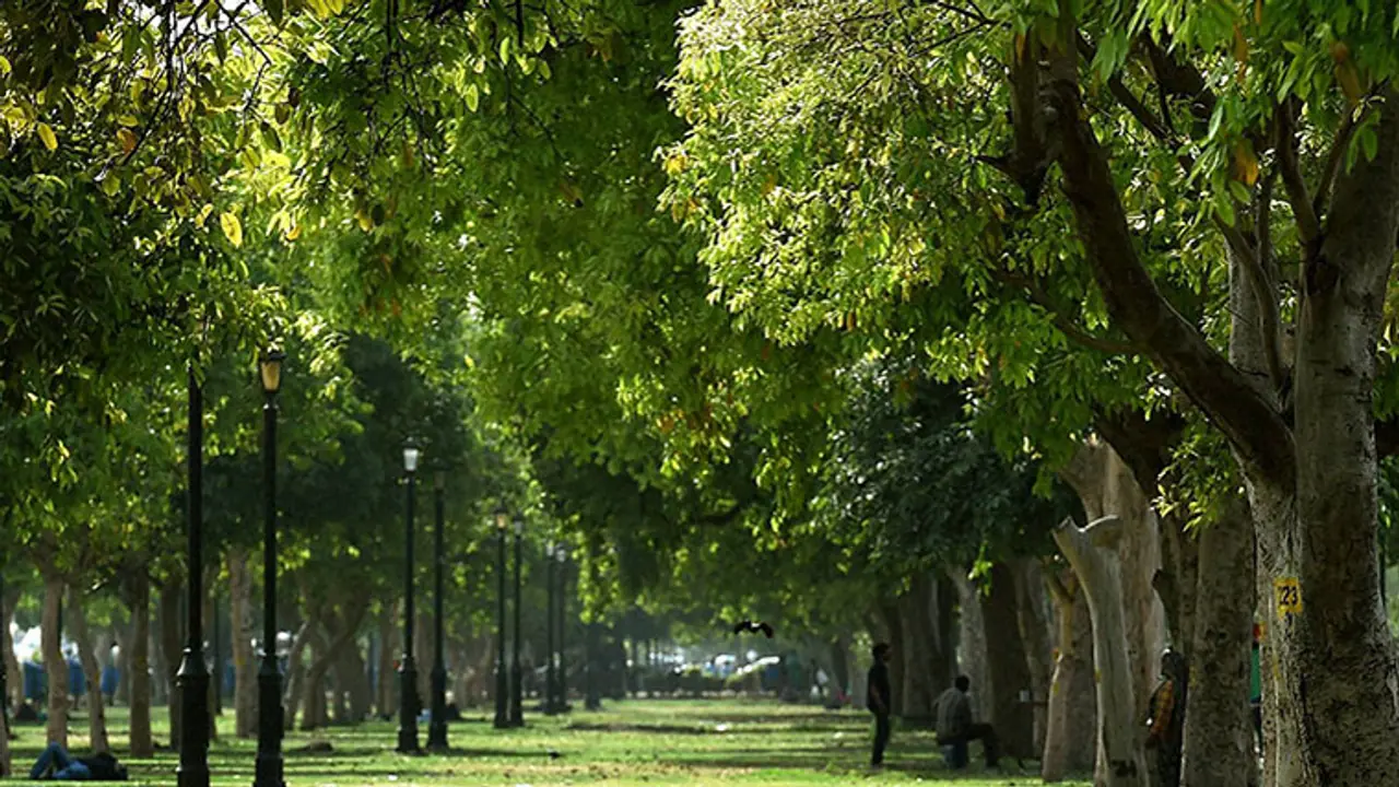 Kerala Forest Deparment Museum Kerala Forest Deparment Museum