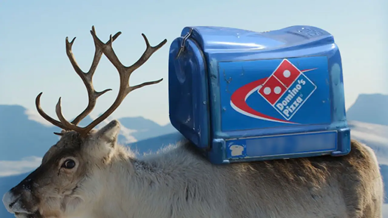 Bizarre: Reindeers are the new delivery boys for Dominos Bizarre: Reindeers are the new delivery boys for Dominos