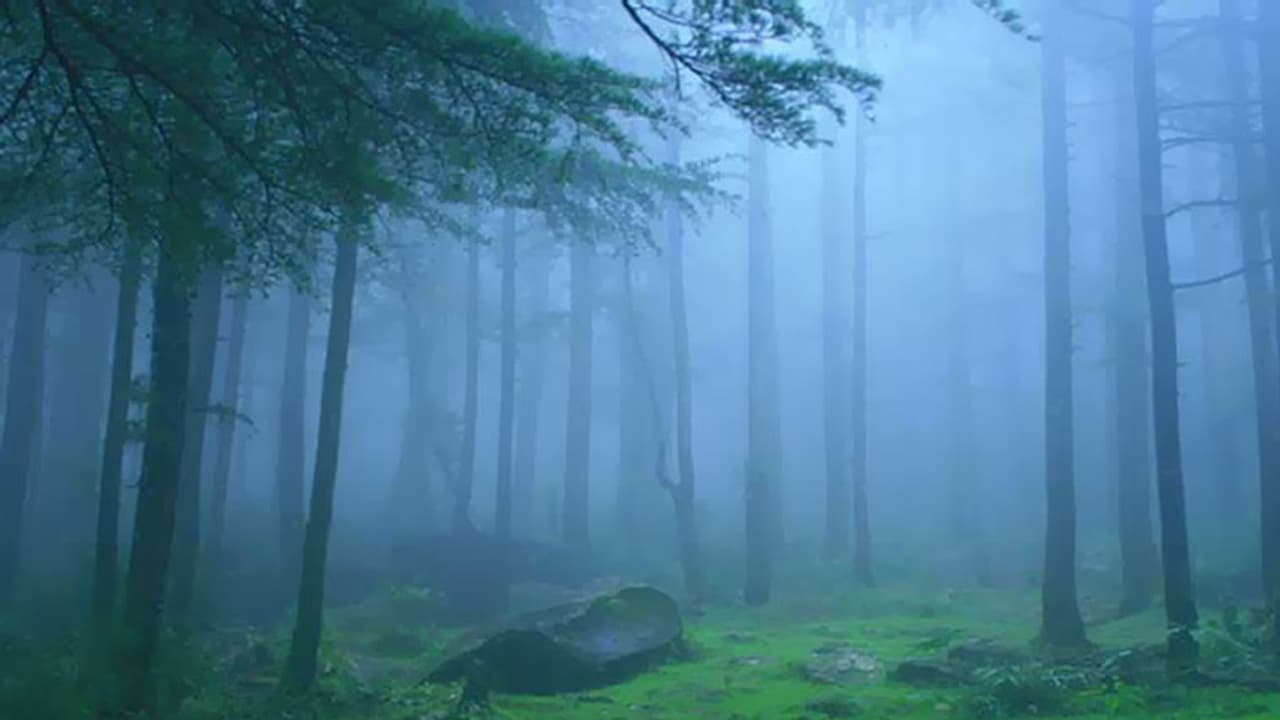 4 off beat places to visit in Andhra Pradesh and Telangana from Hyderabad 4 off beat places to visit in Andhra Pradesh and Telangana from Hyderabad