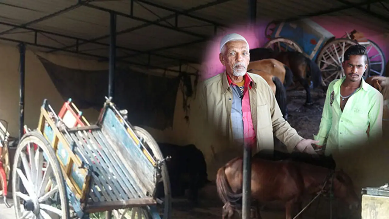 The tragic story of Tongas in Bengaluru The tragic story of Tongas in Bengaluru