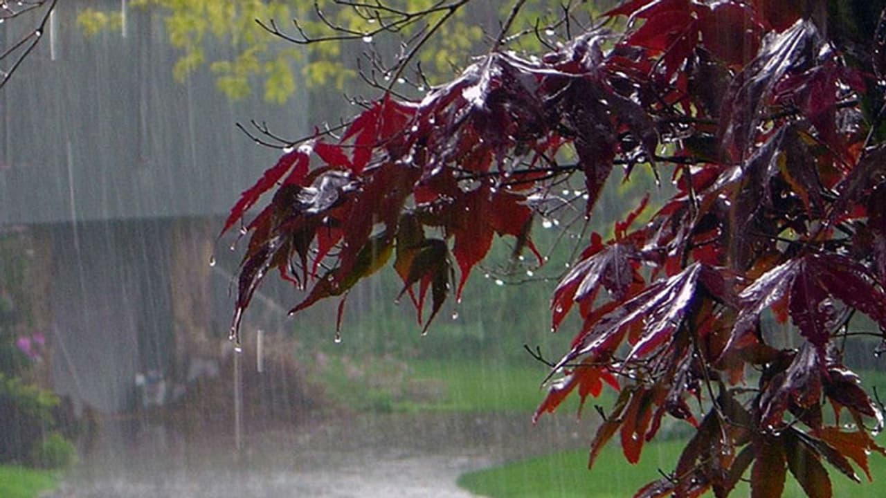 ಈ ವರ್ಷವೂ ಸಾಮಾನ್ಯ ಮುಂಗಾರು: ಸ್ಕೈಮೆಟ್‌!