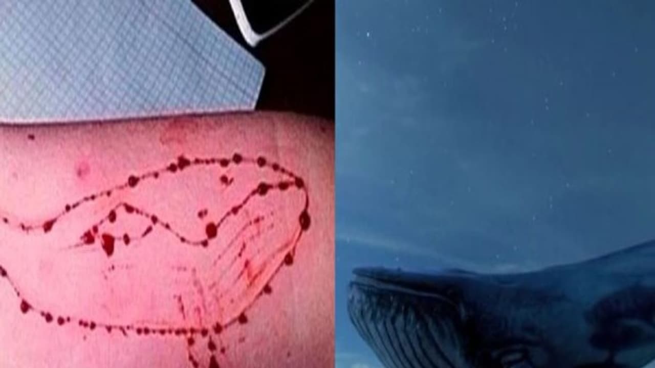 சென்னையில் மாணவன் தற்கொலை... ப்ளூவேல் கேம் ஆல் தொடரும் விபரீதம்! சென்னையில் மாணவன் தற்கொலை... ப்ளூவேல் கேம் ஆல் தொடரும் விபரீதம்!