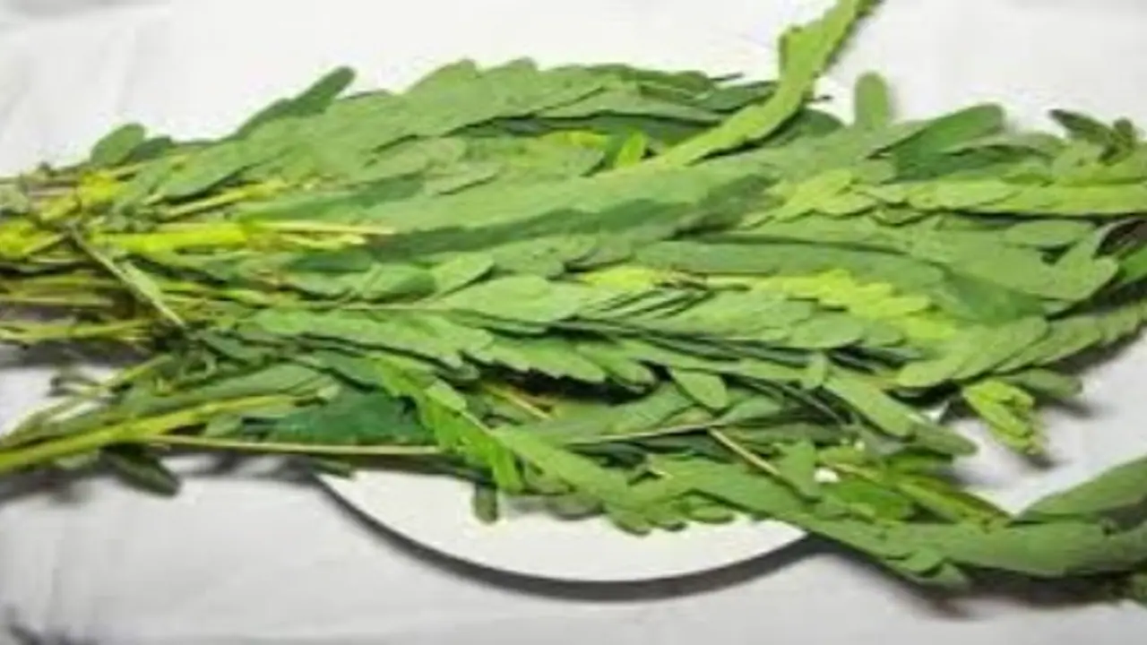 அல்சரைப் போக்க அகத்திக்கீரையை இப்படிதான் சாப்பிடனும்…