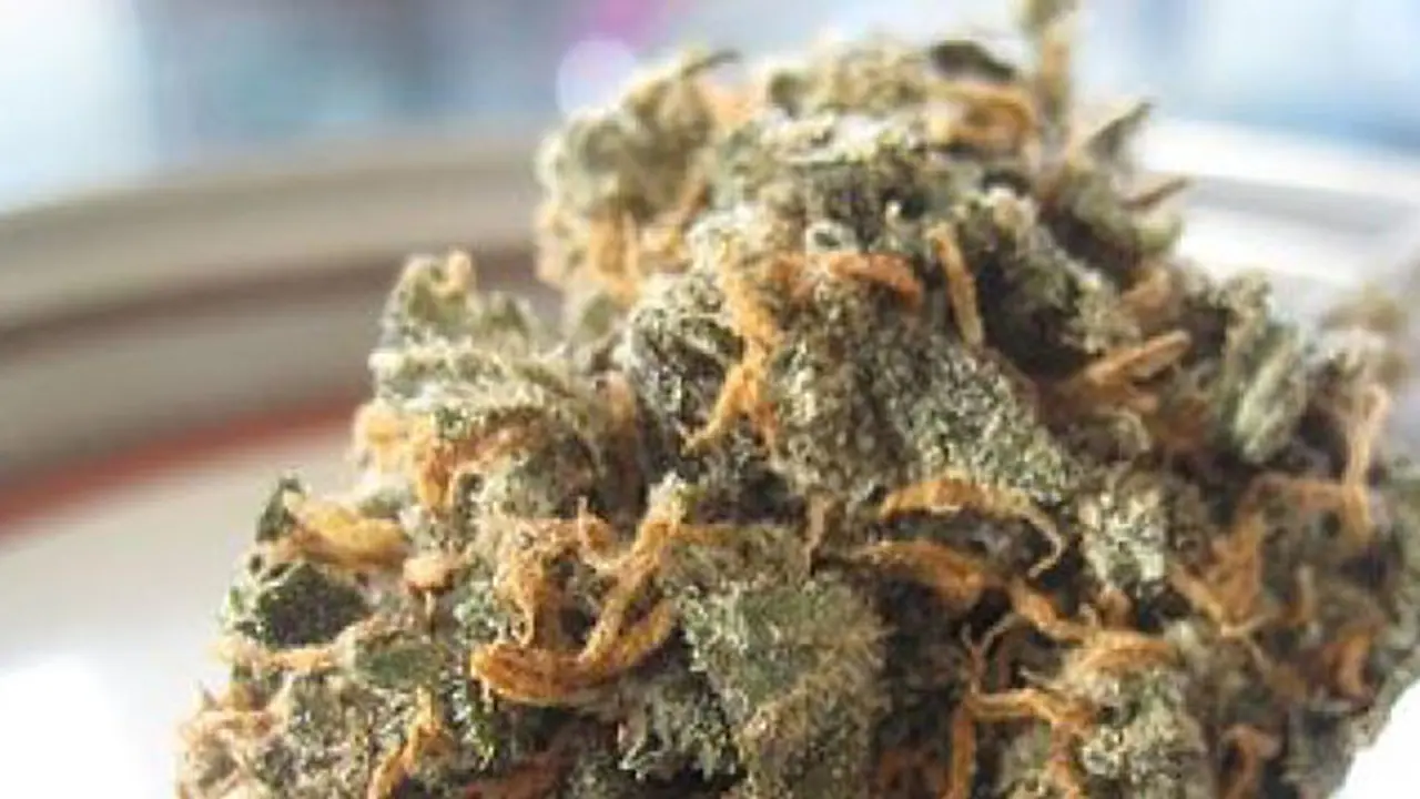 കഞ്ചാവ് വലിക്കാൻ കുട്ടികളെ പ്രേരിപ്പിച്ച അധ്യാപിക അറസ്റ്റിൽ കഞ്ചാവ് വലിക്കാൻ കുട്ടികളെ പ്രേരിപ്പിച്ച അധ്യാപിക അറസ്റ്റിൽ