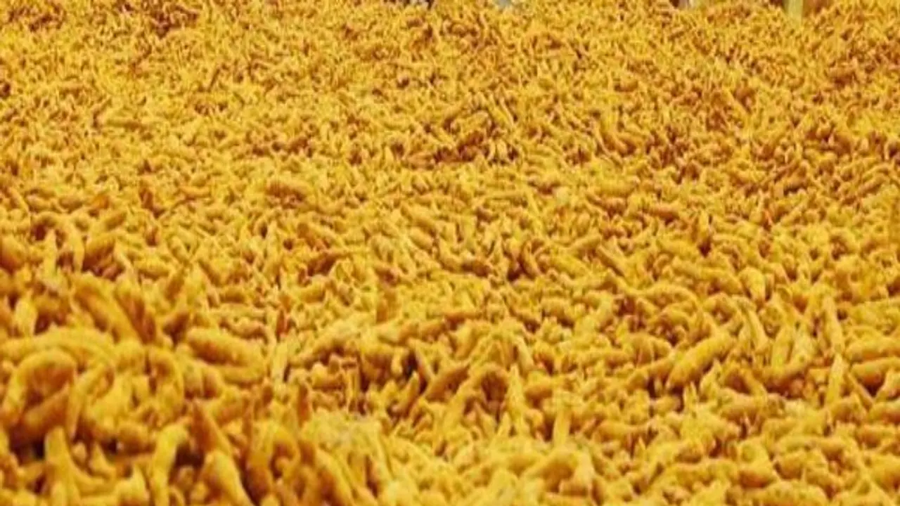 பலபயிர் சாகுபடி செய்வது எப்படி? மஞ்சள் நடவில் இதுதான் ரொம்ப முக்கியம்... பலபயிர் சாகுபடி செய்வது எப்படி? மஞ்சள் நடவில் இதுதான் ரொம்ப முக்கியம்...