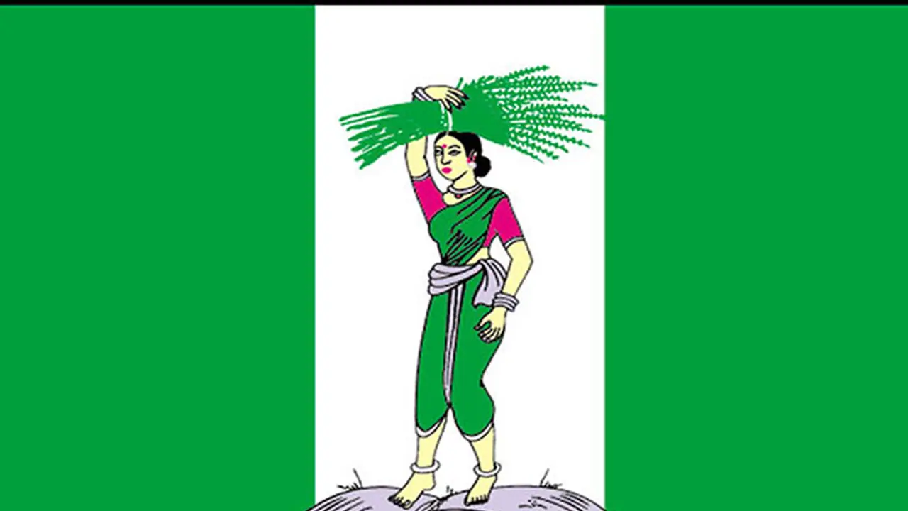 ಬಿಬಿಎಂಪಿ ಉಪಚುನಾವಣೆ : ಜೆಡಿಎಸ್ ಜಯಭೇರಿ ಬಿಬಿಎಂಪಿ ಉಪಚುನಾವಣೆ : ಜೆಡಿಎಸ್ ಜಯಭೇರಿ