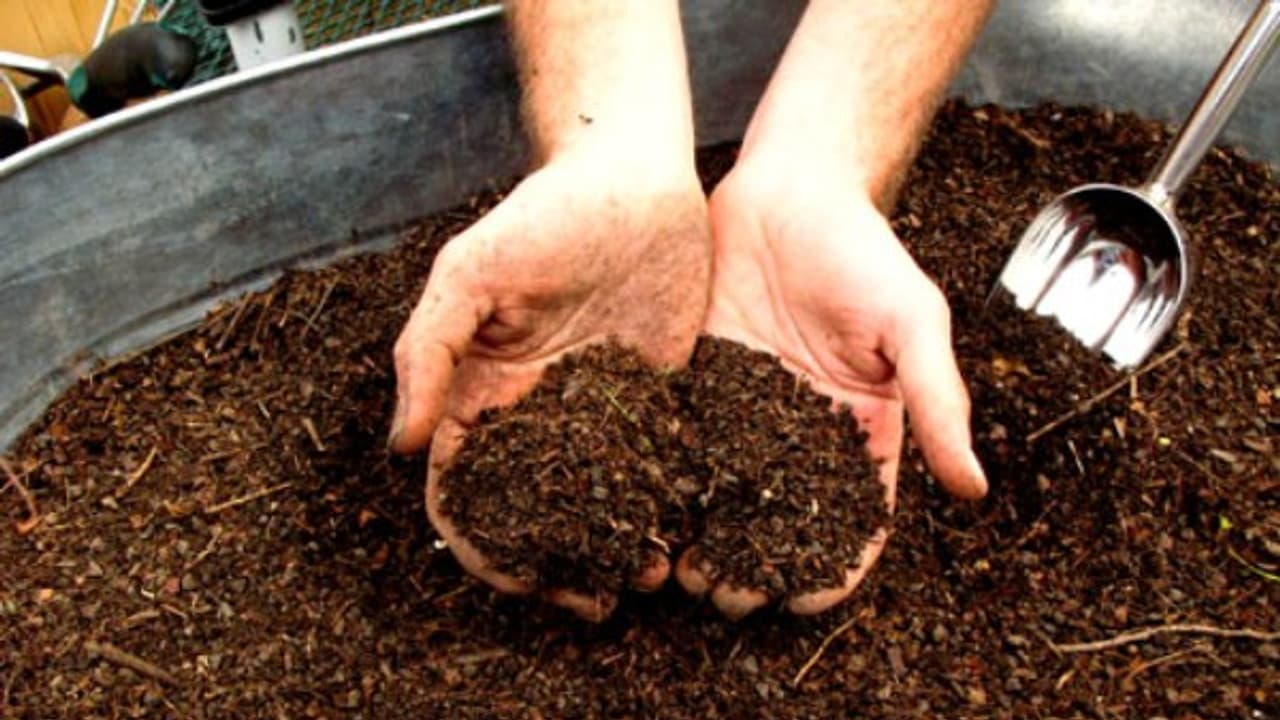 மக்கிய உரத்தில் இருக்கும் சத்துக்கள், நன்மைகள் பயன்கள் மற்றும் வரைமுறைகள் ஒரு அலசல்... மக்கிய உரத்தில் இருக்கும் சத்துக்கள், நன்மைகள் பயன்கள் மற்றும் வரைமுறைகள் ஒரு அலசல்...