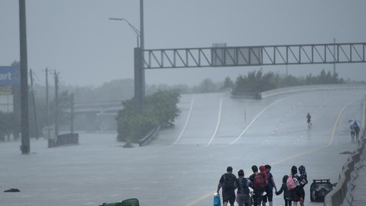 ಹಾಸ್ಟೇನ್ ವಿವಿ ಜಲಾವೃತ; 200 ಕ್ಕೂ ಹೆಚ್ಚು ಭಾರತೀಯ ವಿದ್ಯಾರ್ಥಿಗಳು ಸಂಕಷ್ಟದಲ್ಲಿ