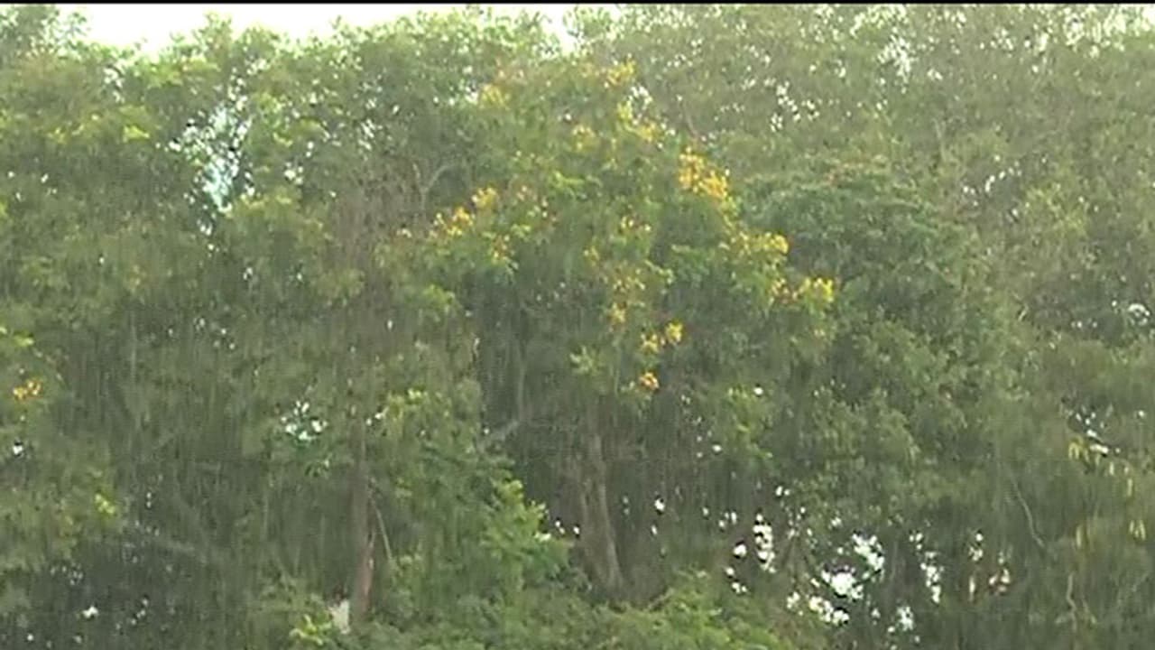 ಮೈಸೂರಿನ ದಸರಾದಲ್ಲಿ ತಂಪೆರದ ವರುಣ ಮೈಸೂರಿನ ದಸರಾದಲ್ಲಿ ತಂಪೆರದ ವರುಣ