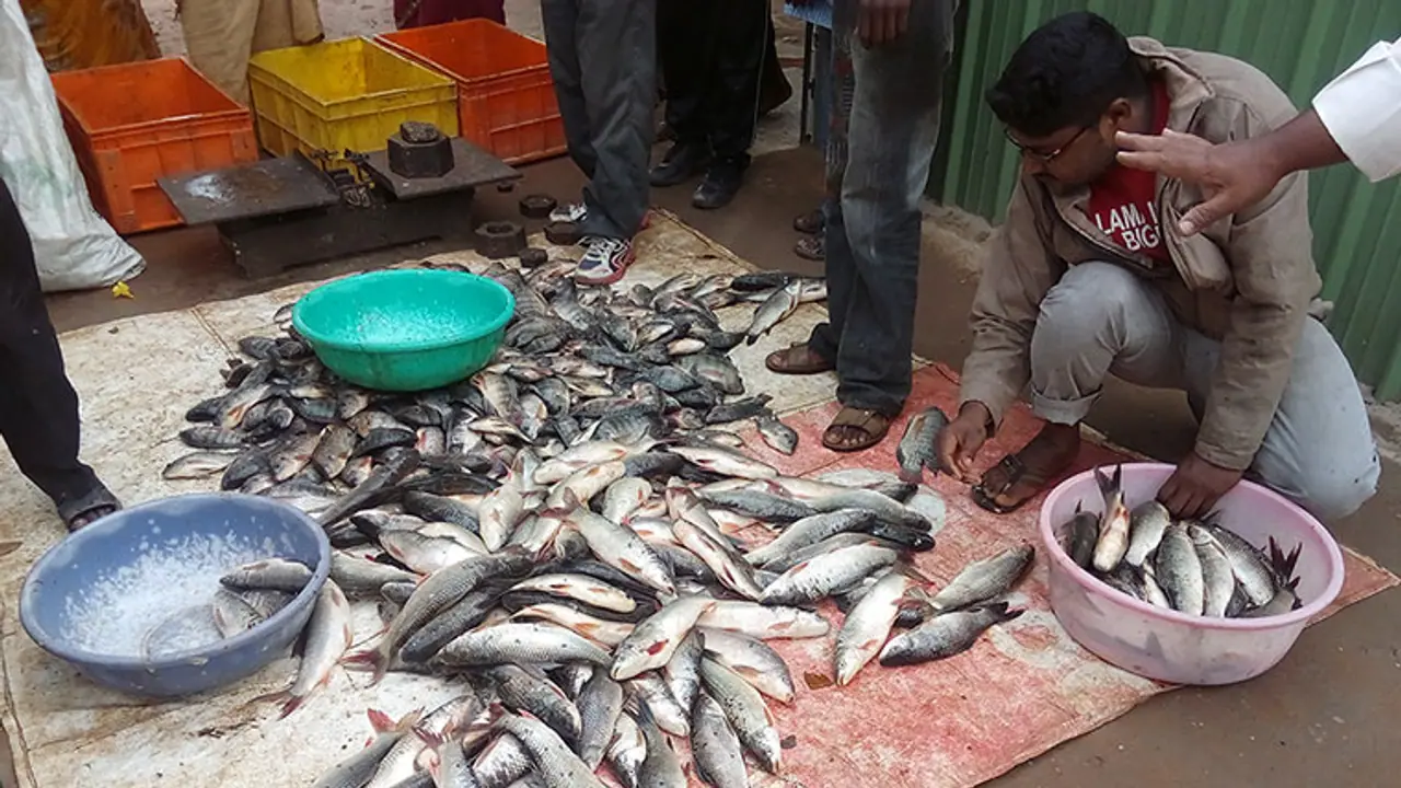 Seafood demand dwindling in city post demonetisation Seafood demand dwindling in city post demonetisation