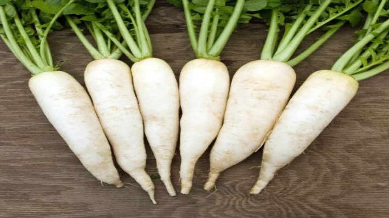 முள்ளங்கி பற்றி நீங்கள் தெரிந்துகொள்ள வேண்டிய மருத்துவ பயன்கள்…. முள்ளங்கி பற்றி நீங்கள் தெரிந்துகொள்ள வேண்டிய மருத்துவ பயன்கள்….