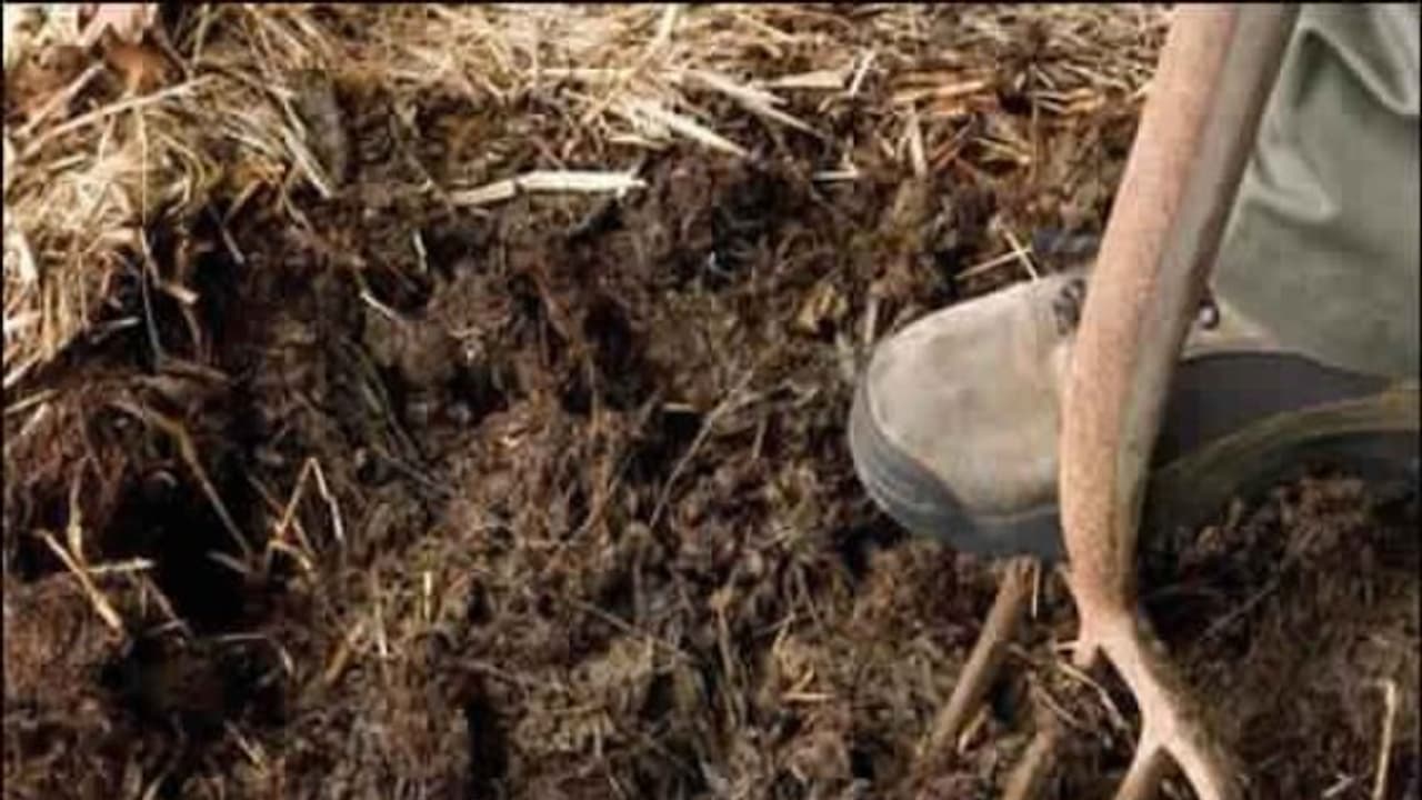 நெல் வயல்களுக்கு நிலங்களை எப்படி பண்படுத்தணும்? இதை வாசிச்சு தெரிஞ்சுக்குங்க… நெல் வயல்களுக்கு நிலங்களை எப்படி பண்படுத்தணும்? இதை வாசிச்சு தெரிஞ்சுக்குங்க…