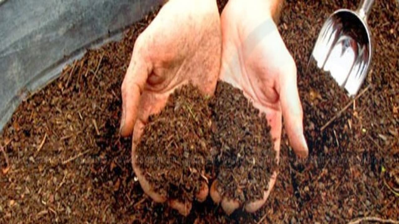 மேம்படுத்தப்பட்ட மண் புழு உரம் தயாரிப்பு முறை இதோ உங்களுக்காக... மேம்படுத்தப்பட்ட மண் புழு உரம் தயாரிப்பு முறை இதோ உங்களுக்காக...