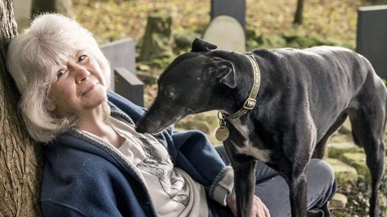 നായയെ പിരിയാനാവില്ല; 22 വര്ഷമായി അവധിയാഘോഷിക്കാതെ എഴുത്തുകാരി നായയെ പിരിയാനാവില്ല; 22 വര്ഷമായി അവധിയാഘോഷിക്കാതെ എഴുത്തുകാരി