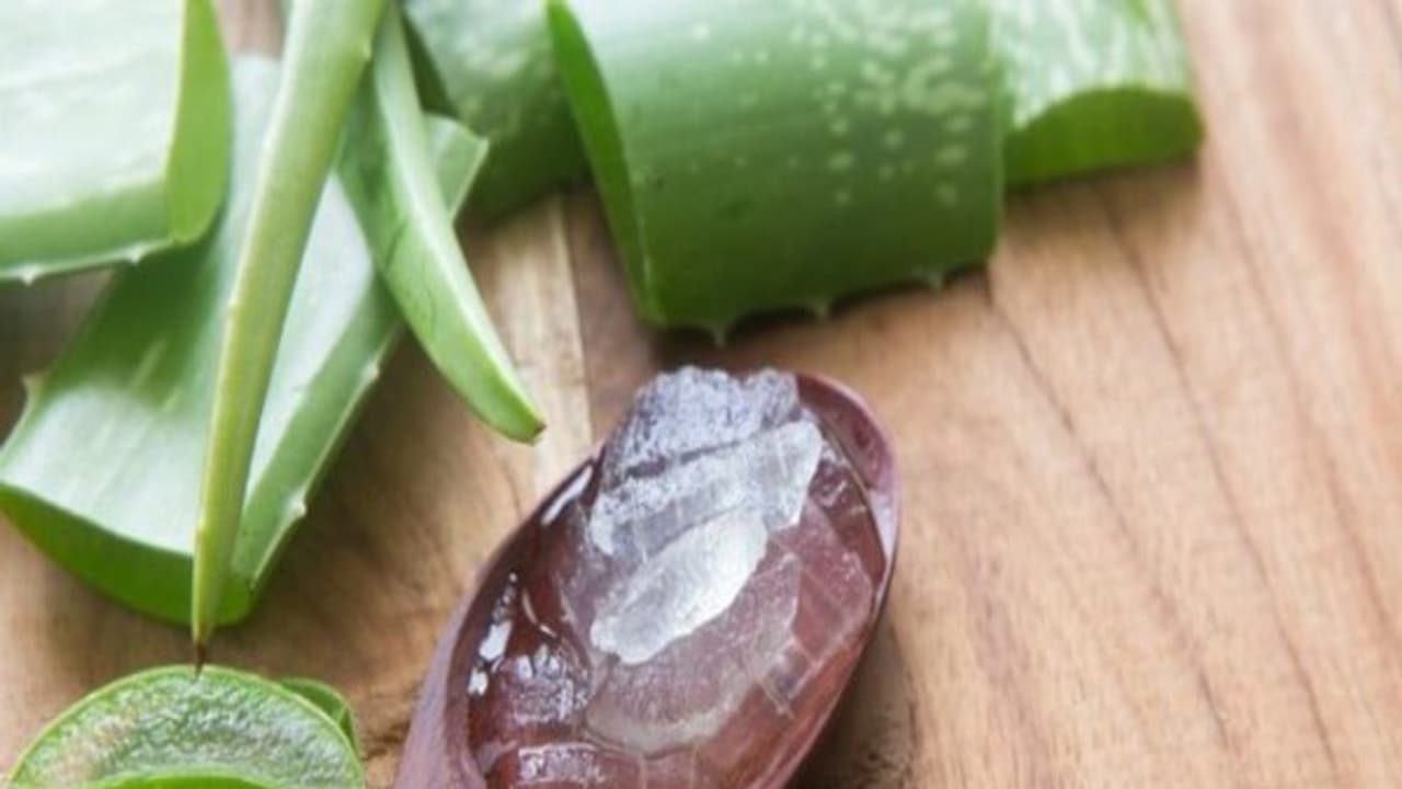 சோற்றுக்கற்றாழையில் மோர் கலந்து குடித்தால் வெயிலால் உண்டாகும் கருமை நீங்கும்... இன்னும் நிறைய டிப்ஸ் உள்ளே... சோற்றுக்கற்றாழையில் மோர் கலந்து குடித்தால் வெயிலால் உண்டாகும் கருமை நீங்கும்... இன்னும் நிறைய டிப்ஸ் உள்ளே...