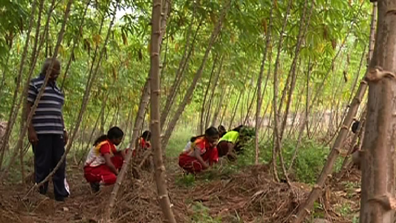 തോമസ് മാഷിന്റെ കുട്ടികള് കായികമേളയ്ക്കെത്തുന്നത് ഇല്ലായ്മകളെ പൊരുതിത്തോല്പ്പിച്ച് തോമസ് മാഷിന്റെ കുട്ടികള് കായികമേളയ്ക്കെത്തുന്നത് ഇല്ലായ്മകളെ പൊരുതിത്തോല്പ്പിച്ച്