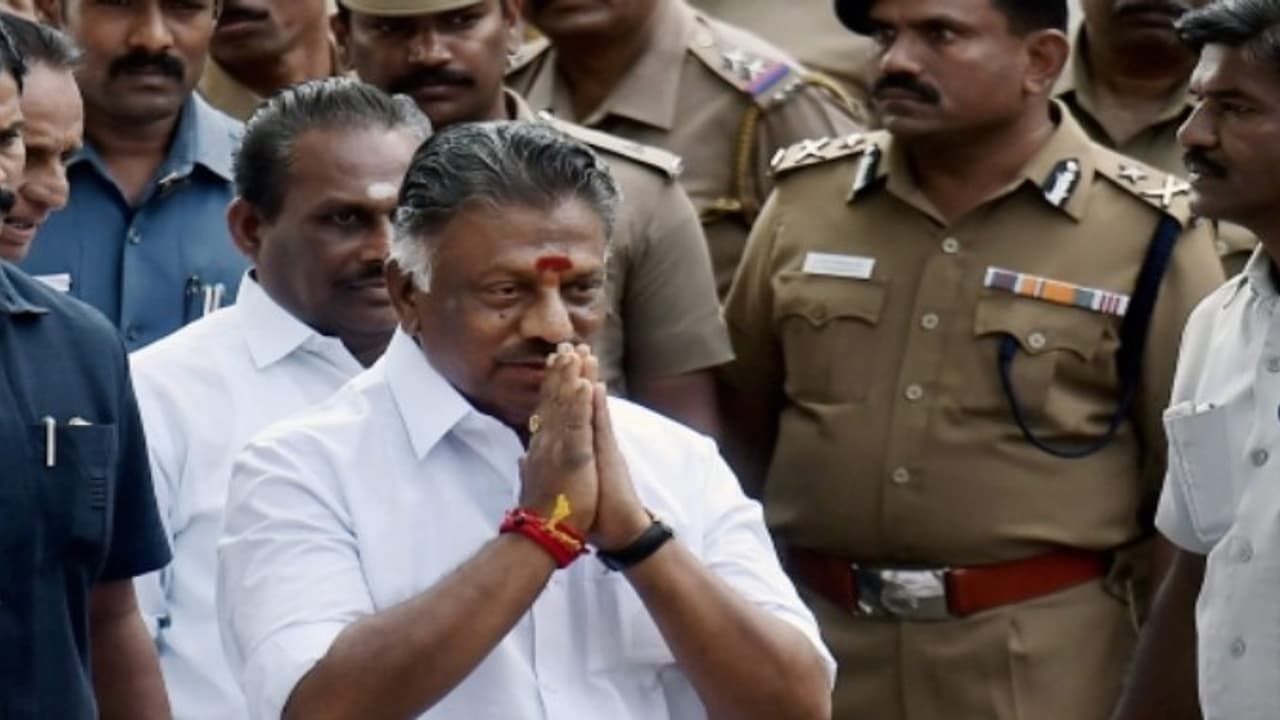 நாளை முதல் தேர்தல் பிரச்சாரம் அதிரடியாக களத்தில் குதிக்கிறார் ஓபிஎஸ் நாளை முதல் தேர்தல் பிரச்சாரம் அதிரடியாக களத்தில் குதிக்கிறார் ஓபிஎஸ்