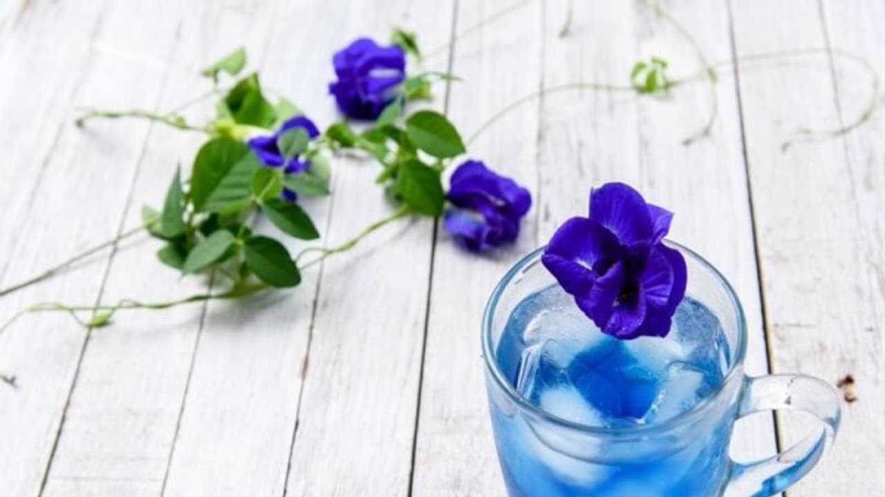 கிரீன் "டீ"யை ஓரங்கட்டும் "ப்ளூ டீ"....! அம்புட்டு நல்லதாம்..! கிரீன் "டீ"யை ஓரங்கட்டும் "ப்ளூ டீ"....! அம்புட்டு நல்லதாம்..!