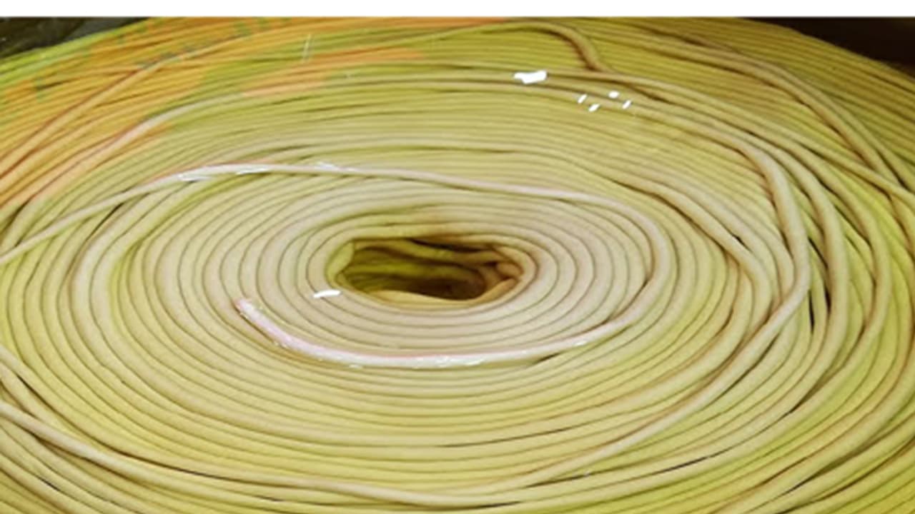 ಬರೋಬ್ಬರಿ 10,100 ಅಡಿ ಉದ್ದ ನೂಡಲ್ಸ್ ತಯಾರಿಸಿ ವಿಶ್ವ ದಾಖಲೆ ಬರೋಬ್ಬರಿ 10,100 ಅಡಿ ಉದ್ದ ನೂಡಲ್ಸ್ ತಯಾರಿಸಿ ವಿಶ್ವ ದಾಖಲೆ