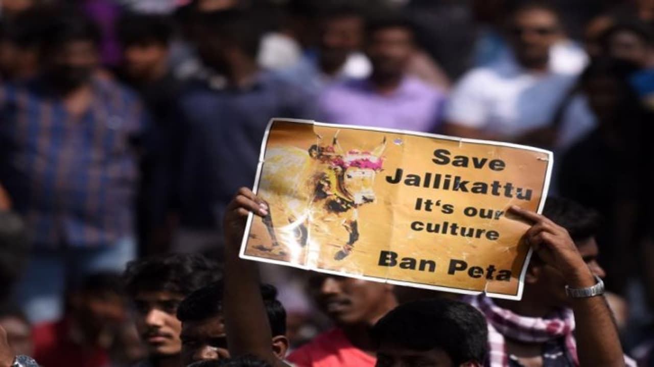 “இளங்கன்று பயமறியாது” – ஜல்லிக்கட்டு போராட்டத்தில் குதித்த பள்ளி மாணவர்கள் “இளங்கன்று பயமறியாது” – ஜல்லிக்கட்டு போராட்டத்தில் குதித்த பள்ளி மாணவர்கள்