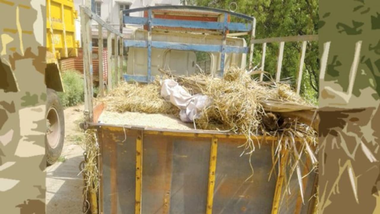 பாலாற்று மணல் எப்படியெல்லாம் திருடு போகுது! வருவாய்துறையினரை பார்த்ததும் ஓட்டுநர் தப்பியோட்டம்... பாலாற்று மணல் எப்படியெல்லாம் திருடு போகுது! வருவாய்துறையினரை பார்த்ததும் ஓட்டுநர் தப்பியோட்டம்...