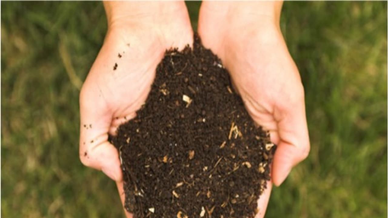 சில மண் வகைகளும் அவற்றுக்கு ஏற்ற பல மரங்களும்... சில மண் வகைகளும் அவற்றுக்கு ஏற்ற பல மரங்களும்...