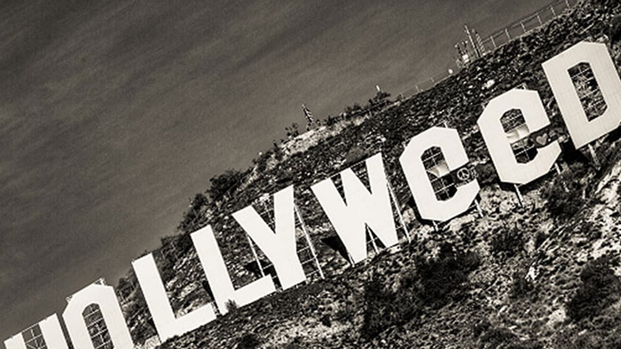 America turns 'Hollyweed': A message by stoners, for stoners America turns 'Hollyweed': A message by stoners, for stoners