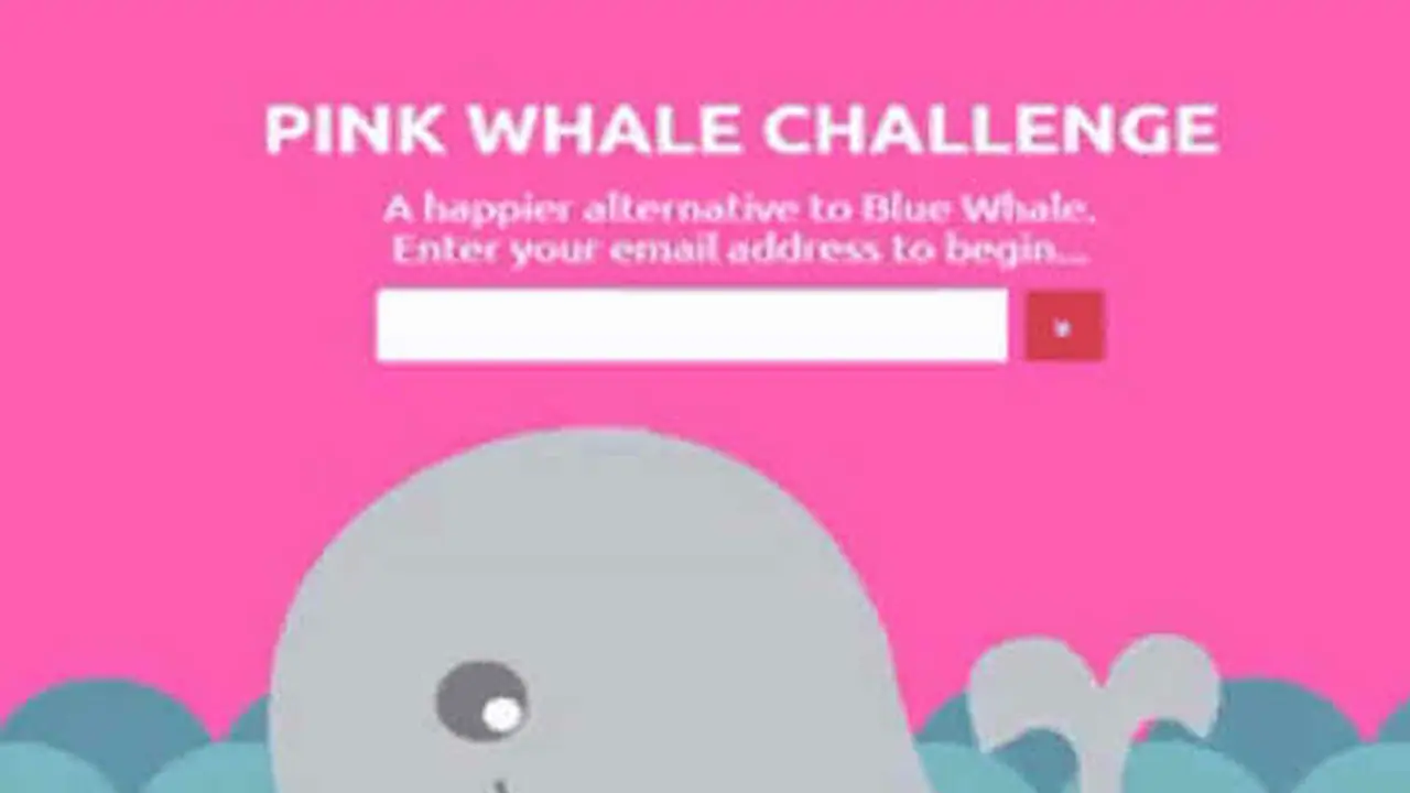 Heard about the Pink Whale challenge? Everything you need to know