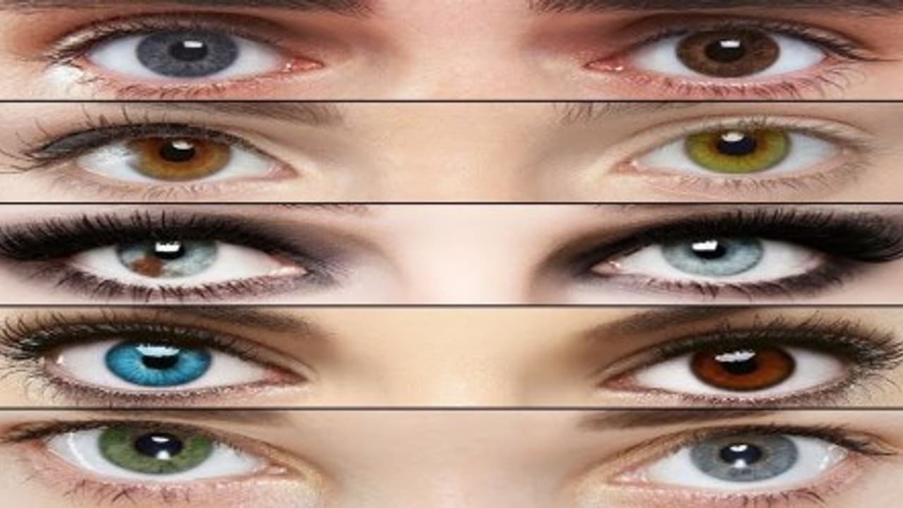 மனிதர்களின் கண்கள் பல நிறங்களில் இருக்க என்ன காரணம் தெரியுமா? மனிதர்களின் கண்கள் பல நிறங்களில் இருக்க என்ன காரணம் தெரியுமா?