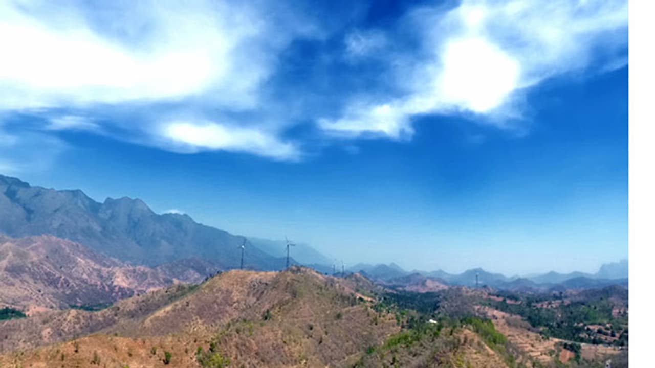 വേനല് കടുത്തു: പാലക്കാട് ജില്ലയില് തീപിടുത്തം വ്യാപകമാവുന്നു വേനല് കടുത്തു: പാലക്കാട് ജില്ലയില് തീപിടുത്തം വ്യാപകമാവുന്നു