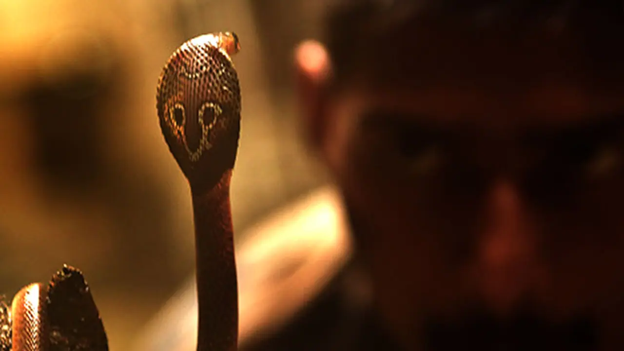 Karnataka soldier involved in Surgical Strikes bitten by poisonous snake, hospitalised Karnataka soldier involved in Surgical Strikes bitten by poisonous snake, hospitalised