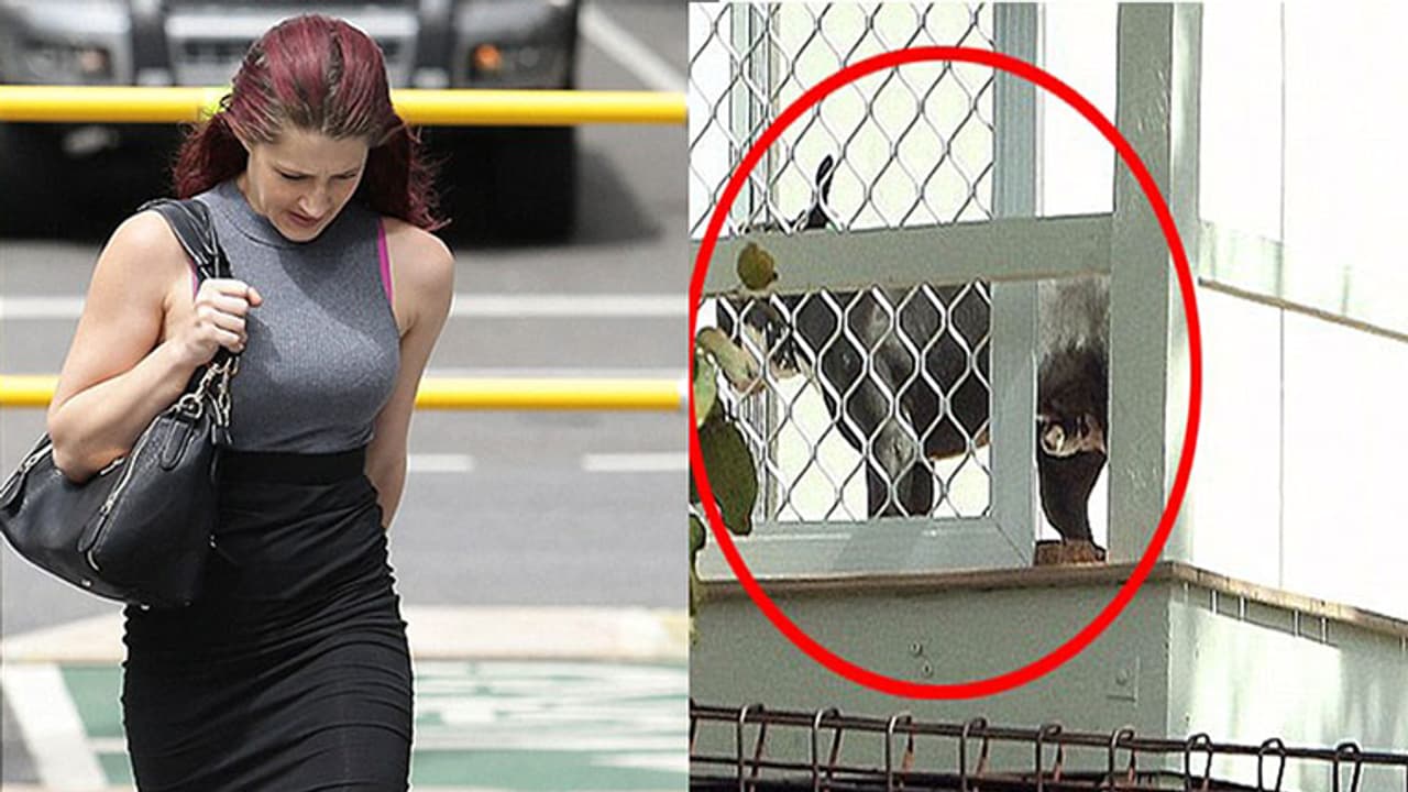 ಲೈಂಗಿಕ ಕ್ರಿಯೆಗೆ ನಾಯಿಯನ್ನ ಬಳಸಿಕೊಂಡ ಮಹಿಳೆ ಕಂಬಿ ಹಿಂದೆ..! ಲೈಂಗಿಕ ಕ್ರಿಯೆಗೆ ನಾಯಿಯನ್ನ ಬಳಸಿಕೊಂಡ ಮಹಿಳೆ ಕಂಬಿ ಹಿಂದೆ..!