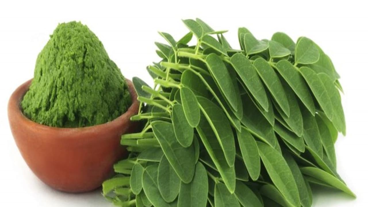 முருங்கைக்கீரையில் இருக்கும் உயிர்ச் சத்துகள் என்னவெல்லாம் செய்யும் தெரியுமா? முருங்கைக்கீரையில் இருக்கும் உயிர்ச் சத்துகள் என்னவெல்லாம் செய்யும் தெரியுமா?