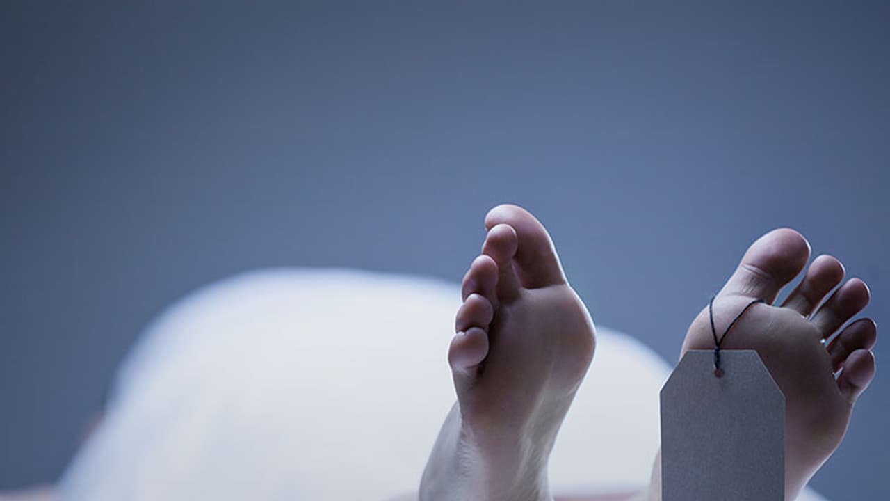 This AI system can predict when you will die This AI system can predict when you will die