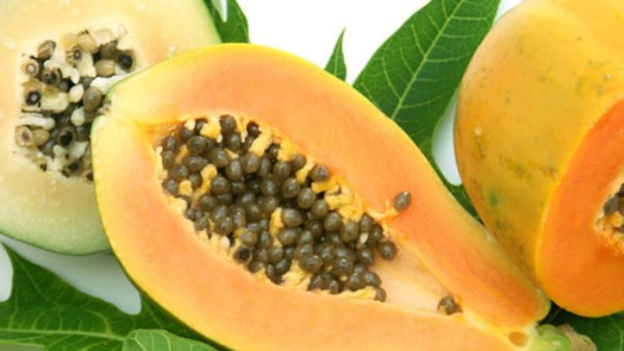 உங்களுக்குத் தெரியுமா? பப்பாளி இலையின் சாறு கல்லீரலின் ஆரோக்கியத்தை மேம்படுத்தும்... உங்களுக்குத் தெரியுமா? பப்பாளி இலையின் சாறு கல்லீரலின் ஆரோக்கியத்தை மேம்படுத்தும்...