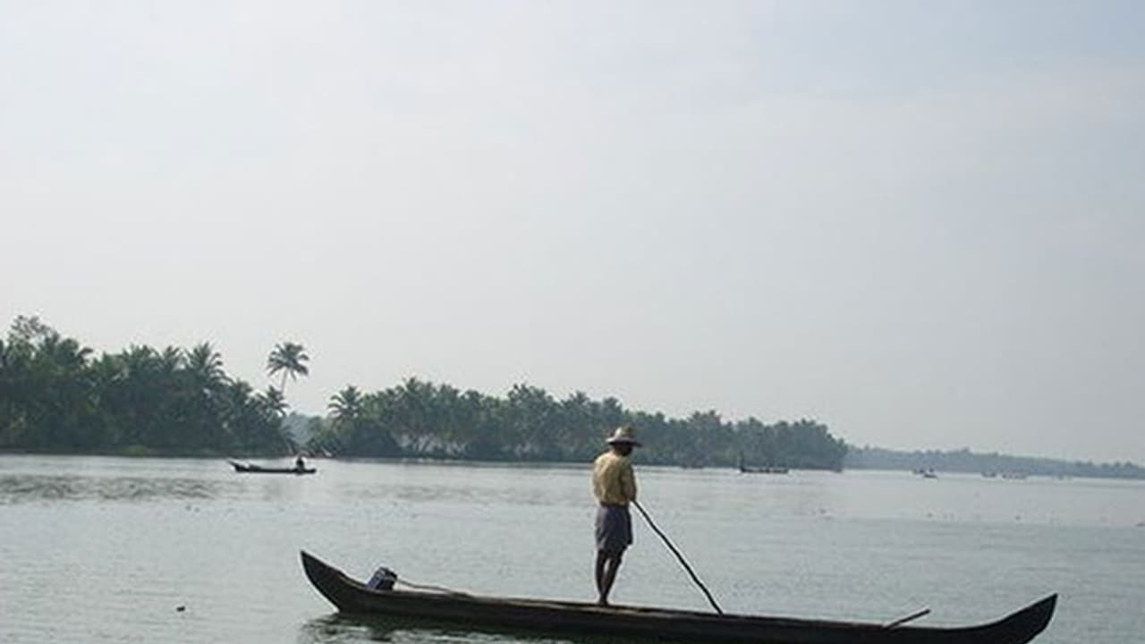 മത്സ്യമോഷണം പതിവ്, രാത്രി മുഴുവന് കായലില് നില്ക്കേണ്ട ഗതികേടില് മത്സ്യത്തൊഴിലാളികള് മത്സ്യമോഷണം പതിവ്, രാത്രി മുഴുവന് കായലില് നില്ക്കേണ്ട ഗതികേടില് മത്സ്യത്തൊഴിലാളികള്