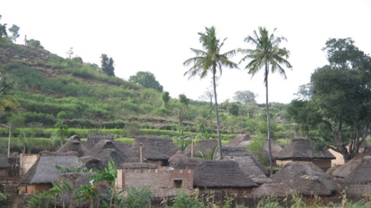 தமிழகத்தில் மட்டும் ஏன் இந்த சட்டம் அமல்படுத்தவில்லை? மலைவாழ் மக்கள் ஆர்ப்பாட்டம்... தமிழகத்தில் மட்டும் ஏன் இந்த சட்டம் அமல்படுத்தவில்லை? மலைவாழ் மக்கள் ஆர்ப்பாட்டம்...