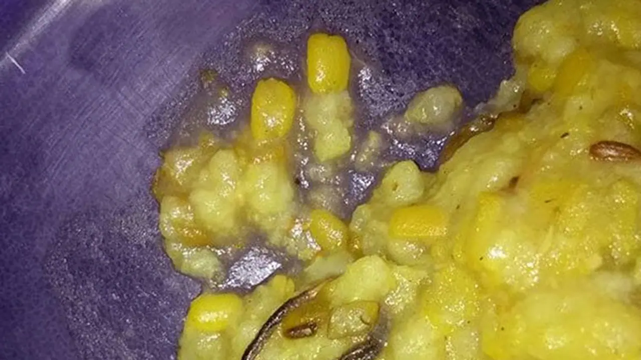 Snake in mid day meal terrifies government school students in Faridabad Snake in mid day meal terrifies government school students in Faridabad