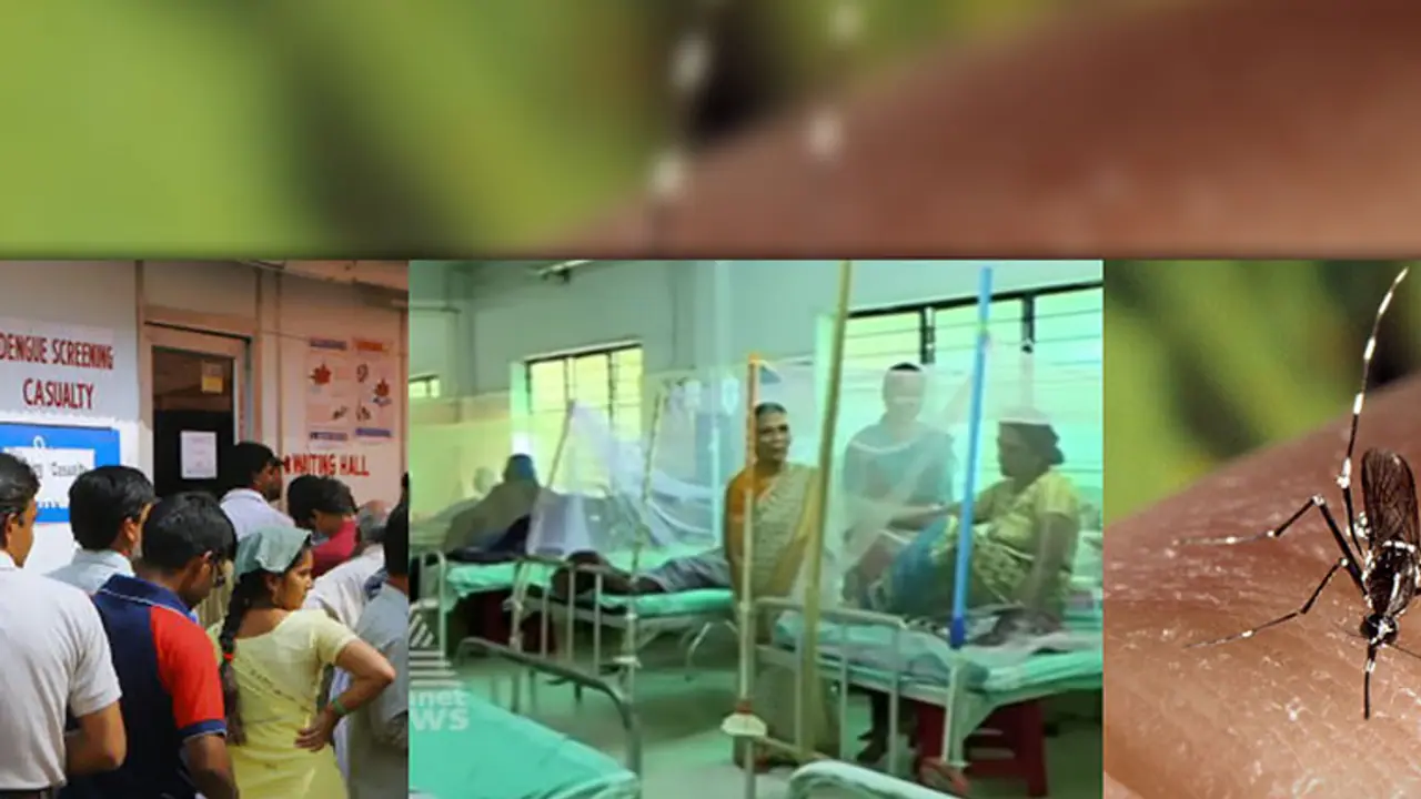 പനിച്ച് വിറച്ച് കേരളം; പനി ബാധിതരുടെ എണ്ണം കൂടുന്നു, ആശങ്കയായി എച്ച് 1 എന്‍ 1