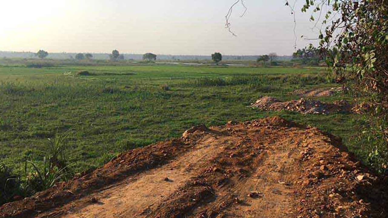 വയല് നികത്താന് ക്വട്ടേഷന് സംഘം; അനുമതിയുമായി ജിയോളജിക്കല് ഉദ്യോഗസ്ഥരും വയല് നികത്താന് ക്വട്ടേഷന് സംഘം; അനുമതിയുമായി ജിയോളജിക്കല് ഉദ്യോഗസ്ഥരും